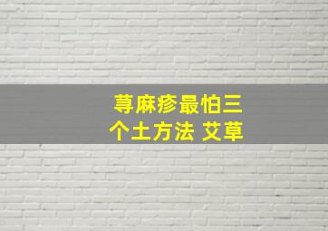 荨麻疹最怕三个土方法 艾草